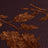 Select: brown