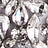 Select: white